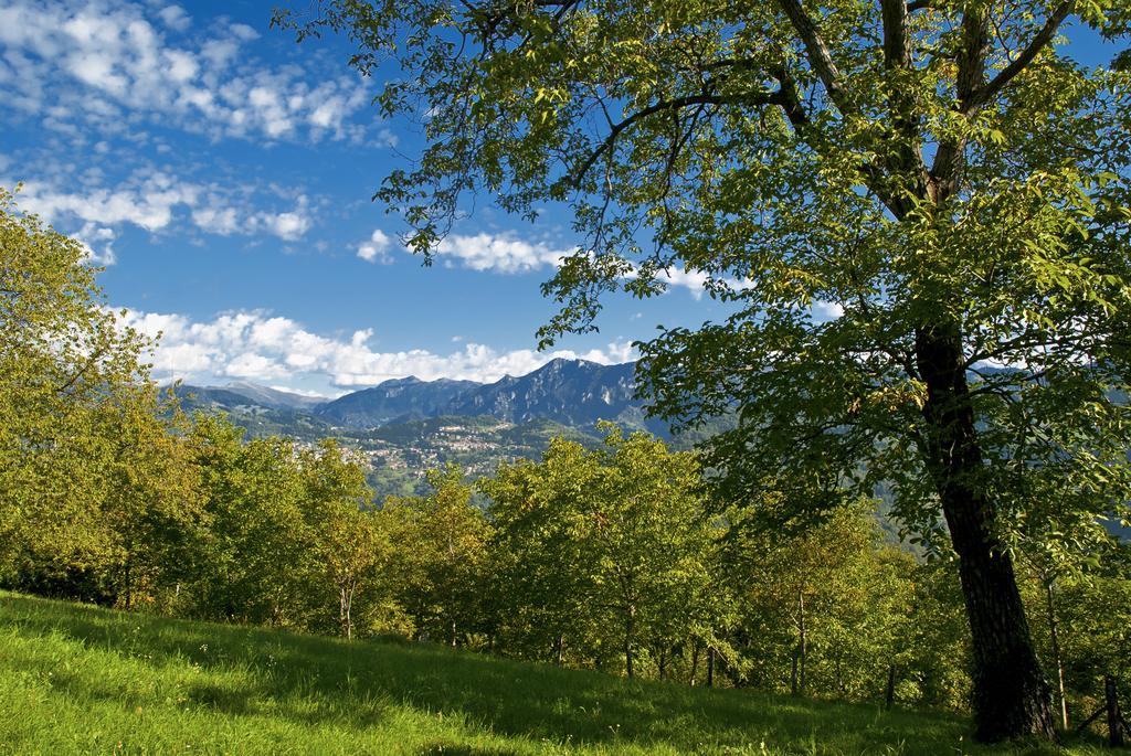 Ca' Baetti L'Antica Corte Roncola Quarto foto